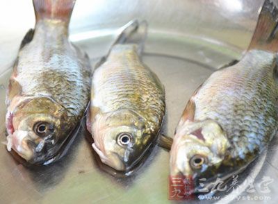 淡水魚和海魚的新鮮度方面，可能淡水魚更好