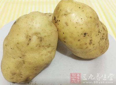 可以做成N种美食的土豆,怎么舍得让它们烂在地