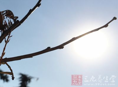 北半球的白昼日渐缩短 北半球的白昼日渐缩短