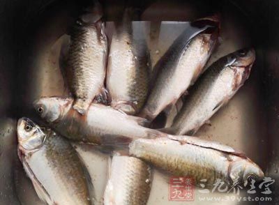 小編特別提醒一下，大家如果是把魚煮魚湯喝