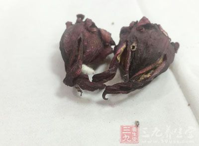 红莲荷叶，洛神花，陈皮