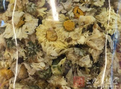 菊花清熱解毒，菊花茶乃清火、減肥方便的飲品