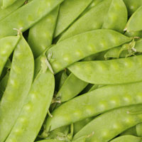 豌豆角的营养价值 豌豆角能抗菌消炎