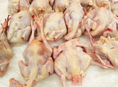 澳门市场发现H7禽流感病毒 暂停活禽交易