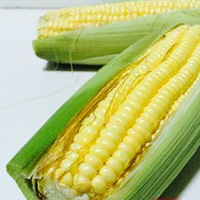吃玉米的好处 吃玉米可以明目美容