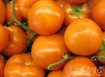西红柿的热量 西红柿含有尼克酸-三九养生堂养