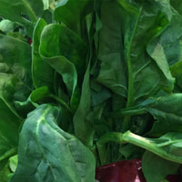 菠菜的营养价值 菠菜中含有丰富的叶酸