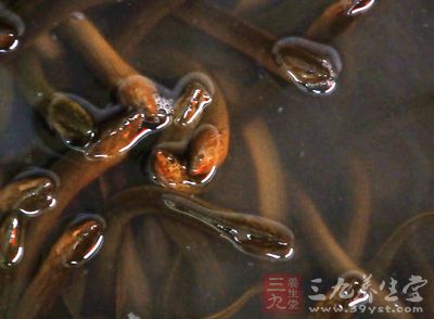 黄鳝性温味甘，补肝脾、除风湿、强筋骨