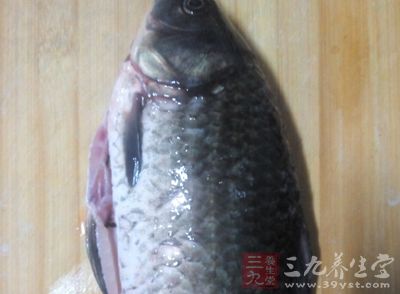 鯽魚一條，約2000克