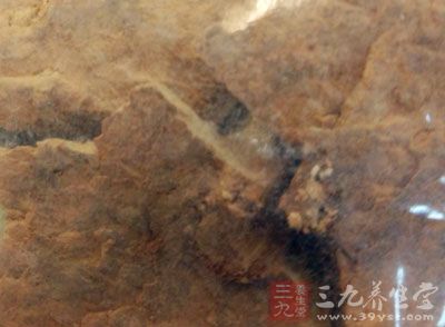 顢֡ػơڵ