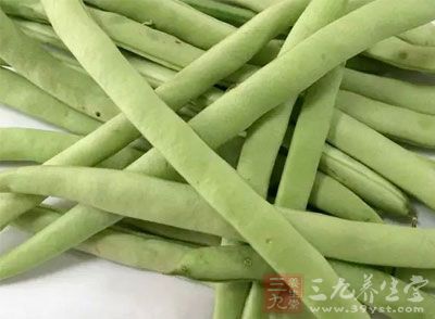 生四季豆中含有毒物质