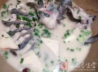 豆腐泥鰍湯