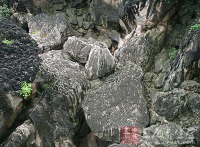 选择可以避风的地方