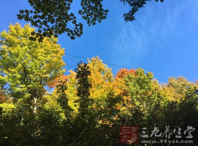 空余时间抬头看天