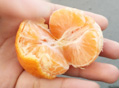 吃橘子的好处