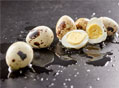 鸽子蛋的营养价值 鸽子蛋能预防荨麻疹