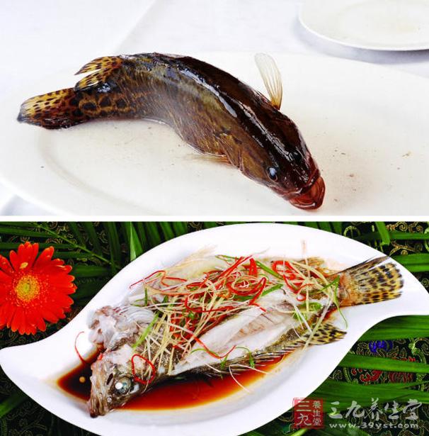 用法用量   鳌花鱼红烧,清蒸,炸,炖,熘均可.也是西餐常用鱼之一.