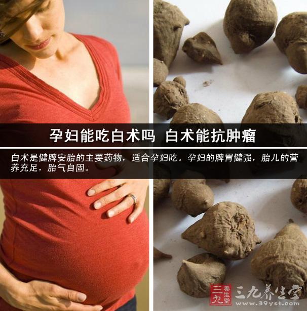 孕婦能吃白術嗎 白術能抗腫瘤.jpg