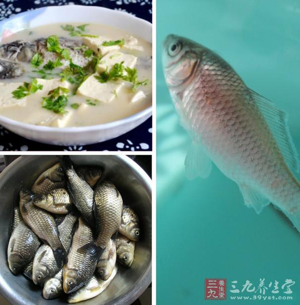 鯽魚豆腐湯