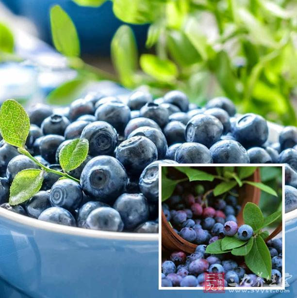 蓝莓的营养价值 蓝莓怎么吃最有营养