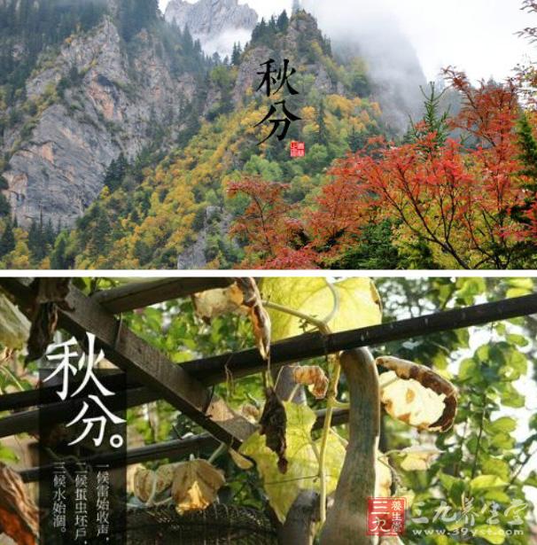 秋分,二十四节气中的第十六个节气,时间一般为每年的9月22或23日。南方的气候由这一节气起才始入秋。一是太阳在这一天到达黄经180度,直射地球赤道,因此这一天24小时昼夜均分,各12小时;全球无极昼极夜现象。秋分之后,北极附近极夜范围渐大,南极附近极昼范围渐大。2014年秋分是哪一天呢?