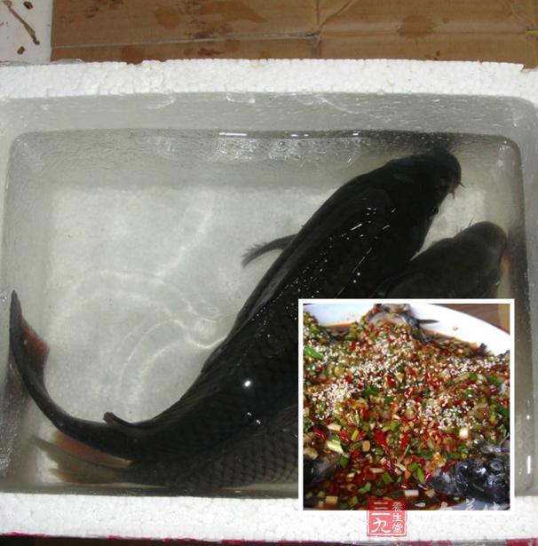 荷香鯽魚(yú)