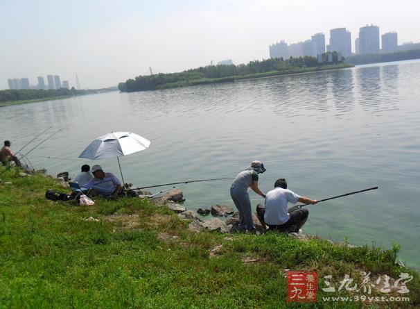 初秋钓鱼在上午10时由浅水换到深水处