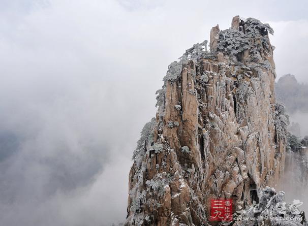 不到始信峰，不见黄山松