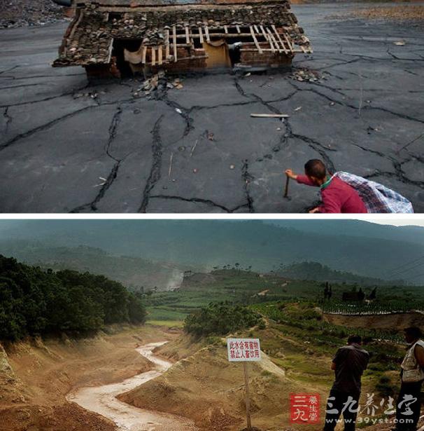 我国启动重金属污染耕地治理使百姓吃放心粮