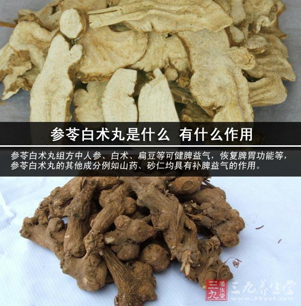 參苓白術(shù)丸是什么 有什么作用.jpg