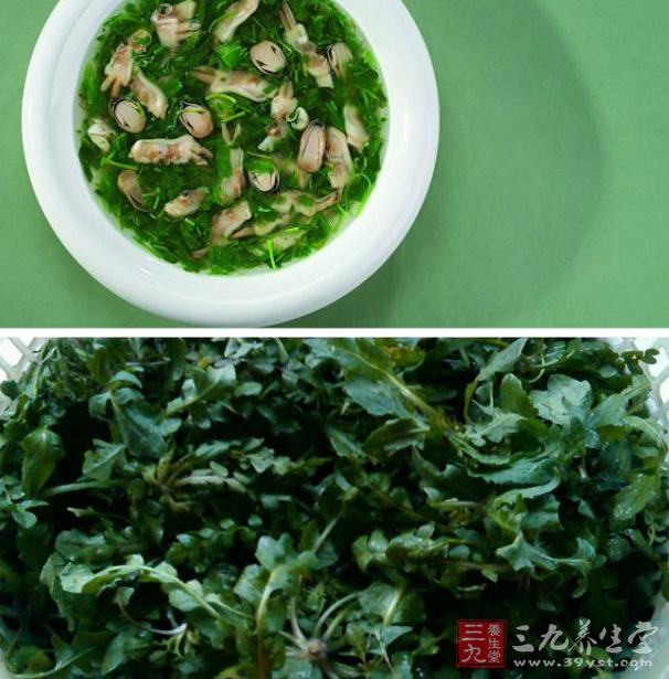 荠菜烩鲜菇 吃荠菜能缓解疲劳.jpg