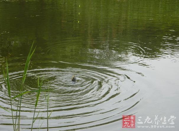 传统钓法的魅力在于有很强的针对性和适应性