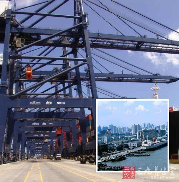 世界粮食日_美国人均粮食消耗(3)