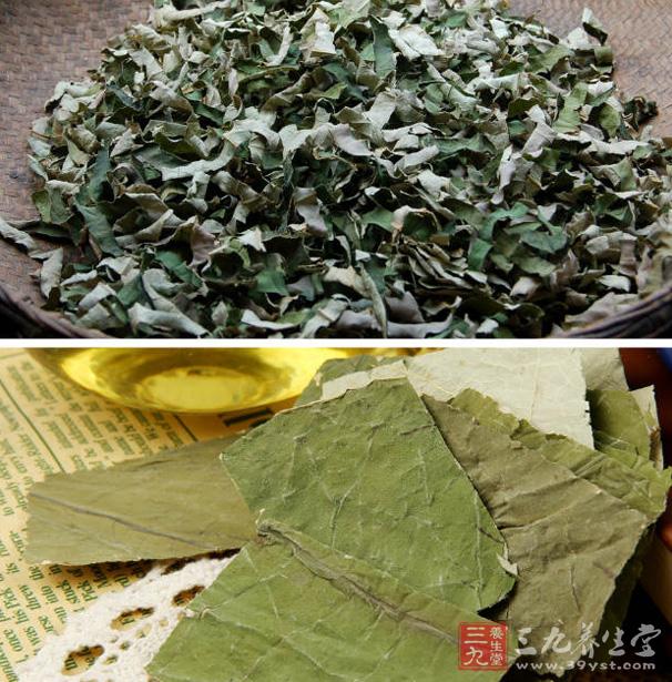 荷叶茶怎么做 它有哪些操作步骤
