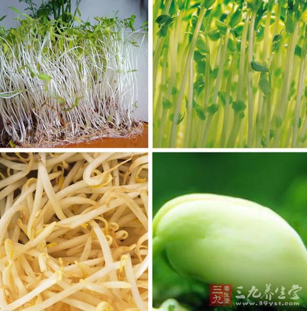 炎炎夏日,烹制一道绿豆芽菜肴可以清热解毒、利尿除湿。同时,绿豆芽的热量很低,而水分和纤维素含量较高,可促进肠蠕动,具有通便的作用,是人们公认的夏季瘦身佳品,也是便秘患者的健康蔬菜,对食道癌、胃癌、直肠癌患者也有良好的食疗价值。 炎炎夏日,烹制一道绿豆芽菜肴可以清热解毒、利尿除湿。同时,绿豆芽的热量很低,而水分和纤维素含量较高,可促进肠蠕动,具有通便的作用,是人们公认的夏季瘦身佳品,也是便秘患者的健康蔬菜,对食道癌、胃癌、直肠癌患者也有良好的食疗价值。