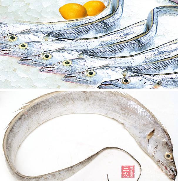 带鱼的营养价值高 带鱼能够预防高血压
