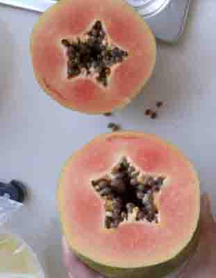 情侣晚餐必吃9大催情食物