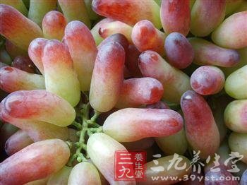 中医养生保健知识：初秋饮食宜多吃葡萄(3)