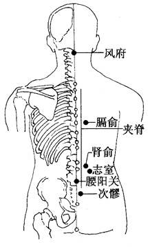 慢性腰痛的刮痧疗法