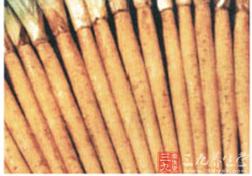 排毒功能好的20种食物(10)