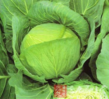 卷心菜汁可补钾防血管硬化