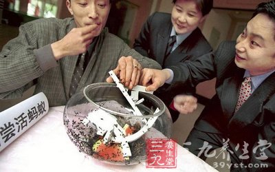 试吃活蚂蚁