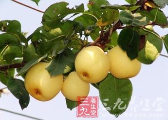 利于肠道健康的五种水果