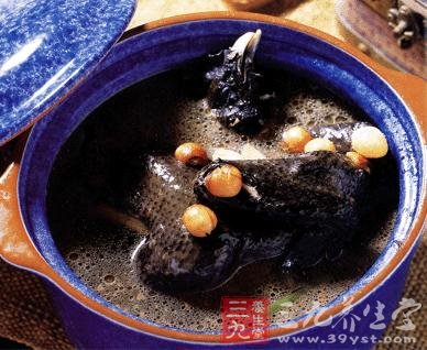 白果的药用与食疗