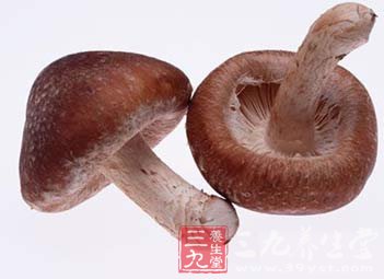 菇类是蔬菜中的牛排