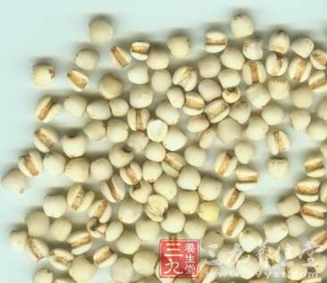 厨房里的9大保护心脏好食物