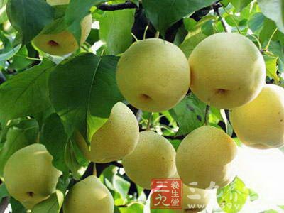 鸭梨爽口解腻雪花梨清肺热