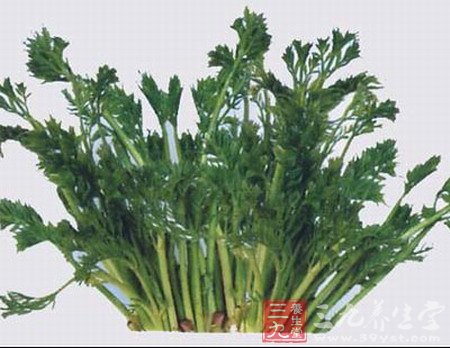 十种营养值很高的野菜