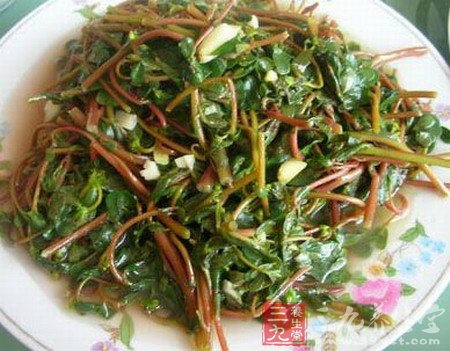 十种营养值很高的野菜