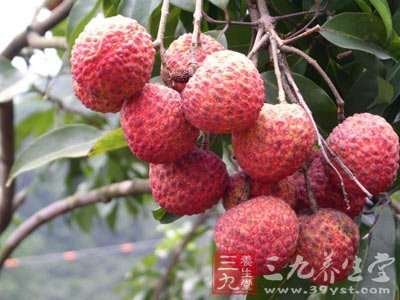 荔枝上火喝盐水